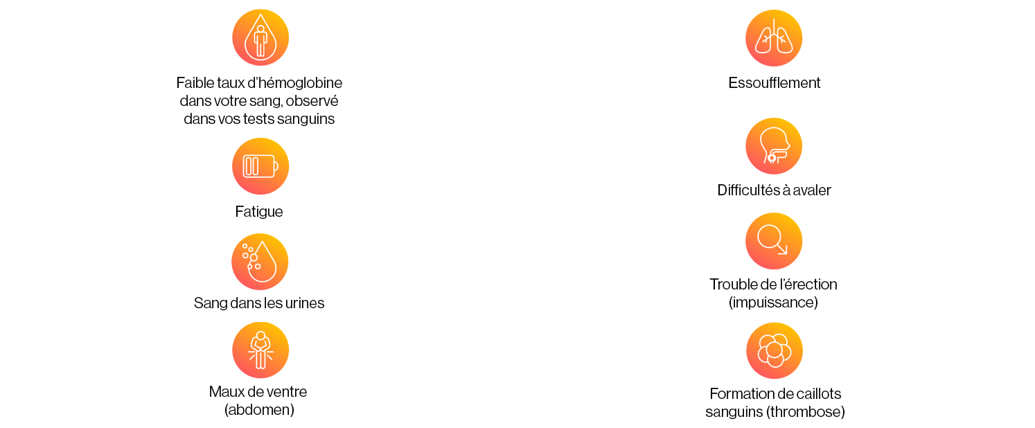 Safety Icons_Desktop-fr-lu_1.png